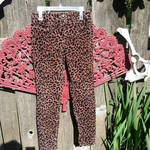 Leopard punk pants